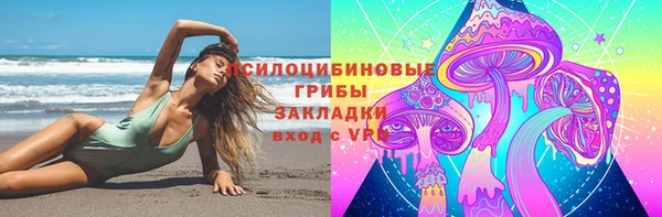 твердый Алексеевка