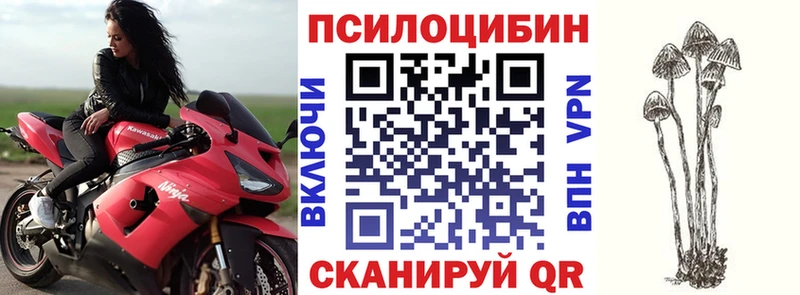 MEGA онион  Сосновка  Галлюциногенные грибы прущие грибы 